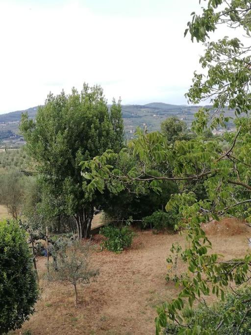 I Rosai Appartamento Sulle Colline Fiorentine Bagno A Ripoli Bagian luar foto
